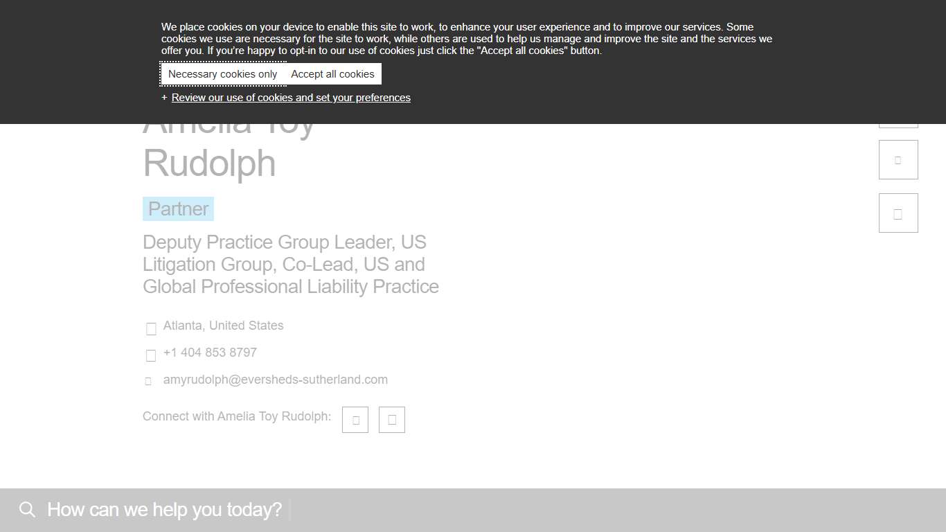 Amelia Toy Rudolph | Partner, Deputy Practice Group Leader, US Litigation Group, Co-Lead, US and Global Professional Liability Practice | Eversheds Sutherland